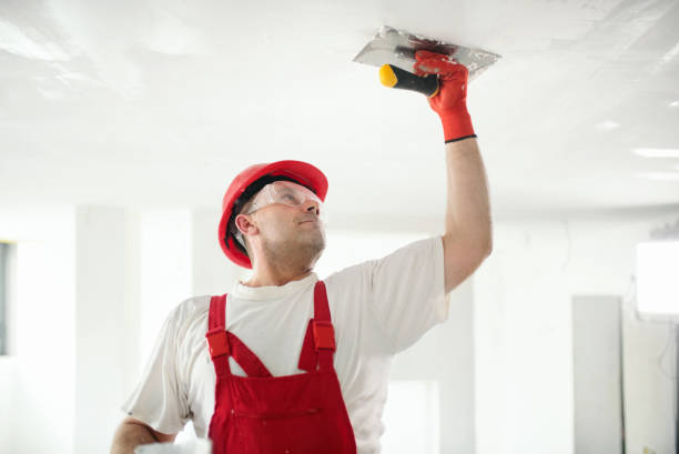 Best Fire-Damaged Drywall Repair  in Smackover, AR